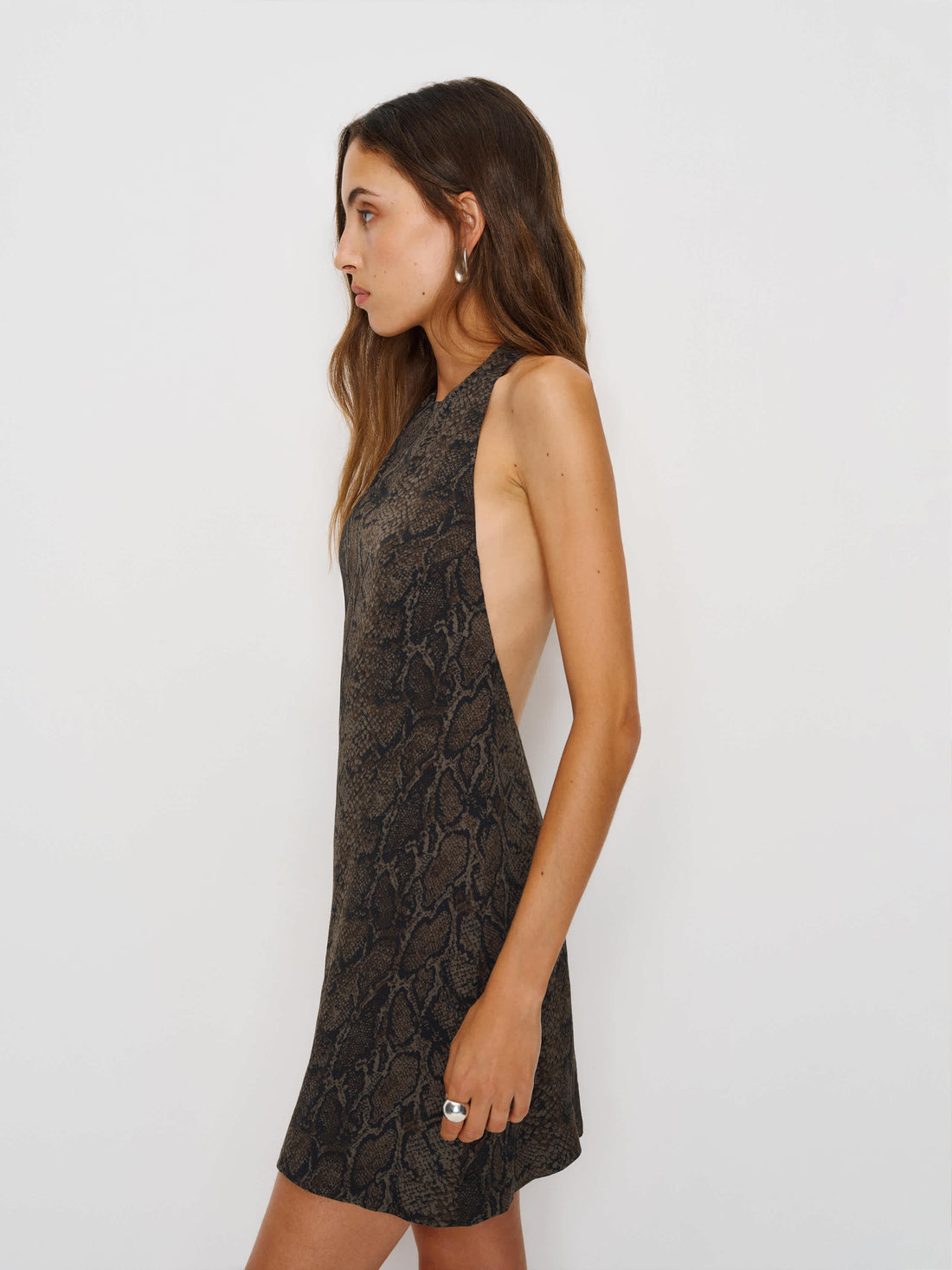 Avielle Dress
