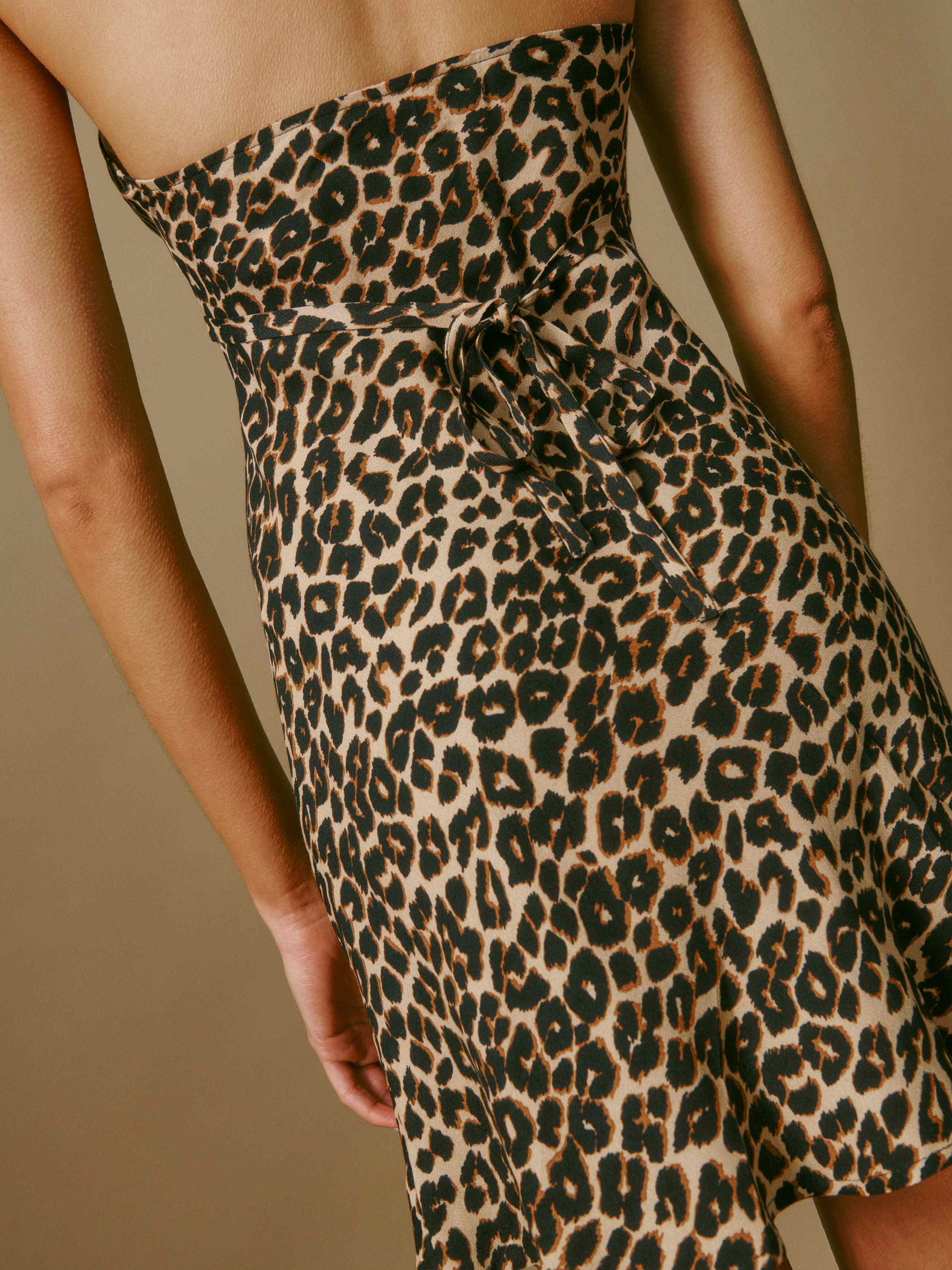 Delanie Dress