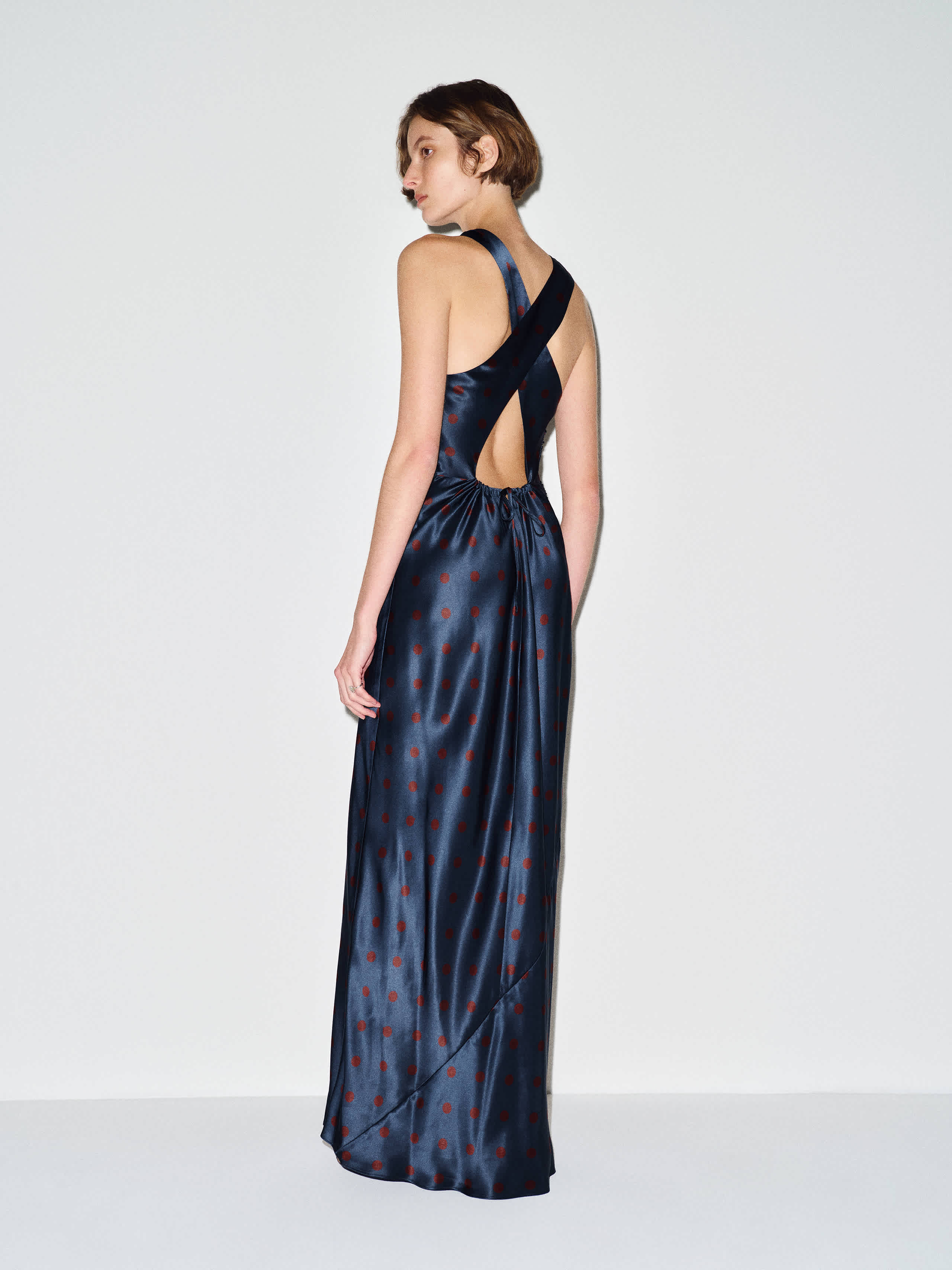 Anaiis Silk Dress
