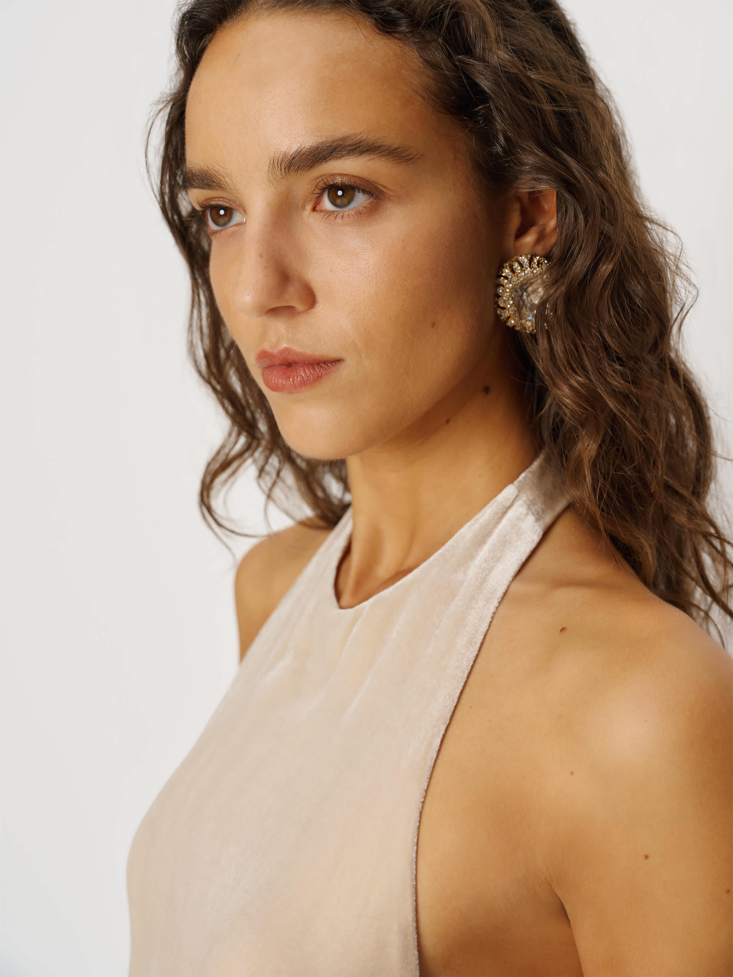 Avielle Velvet Dress